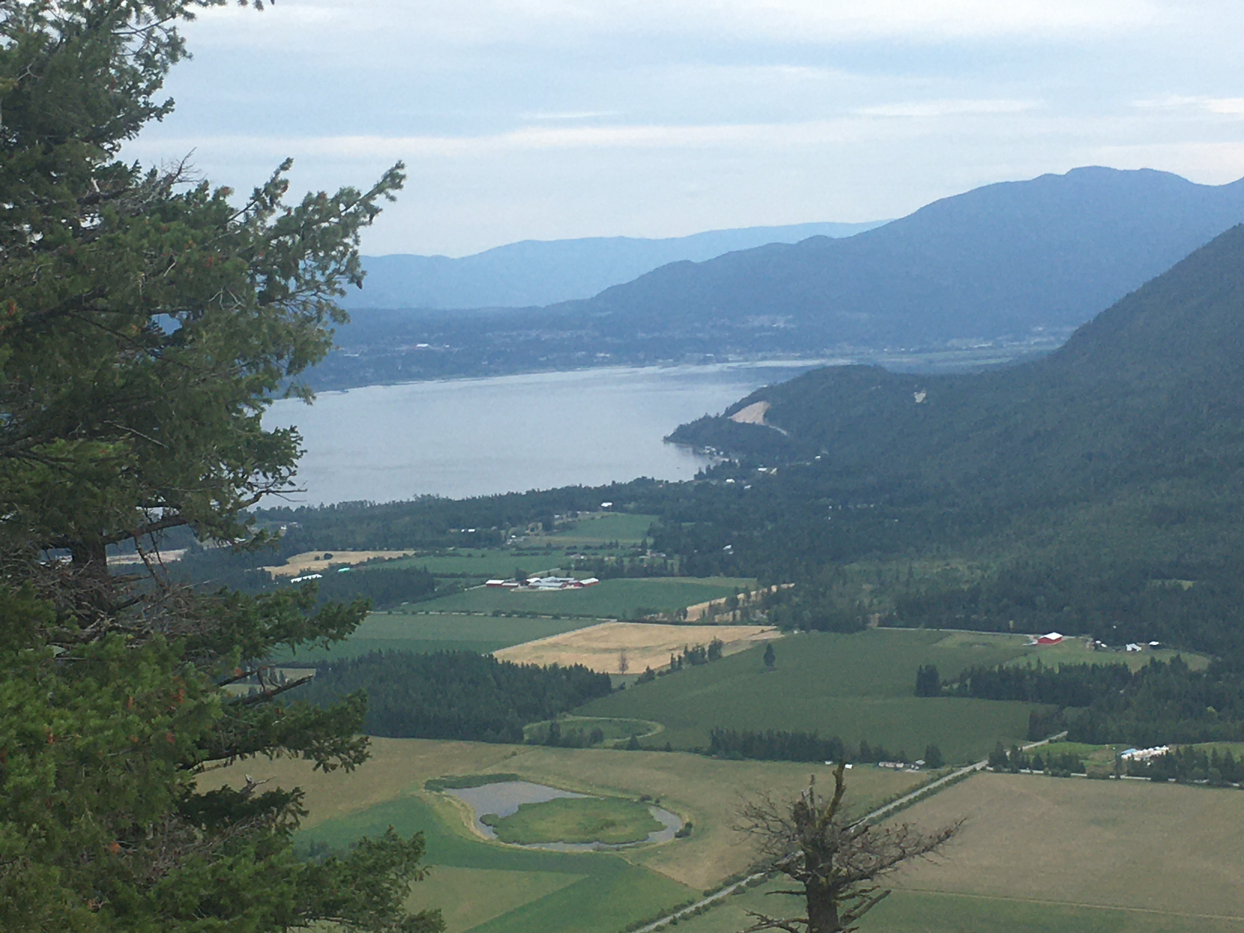 Salmon arm from Tappen Bluff