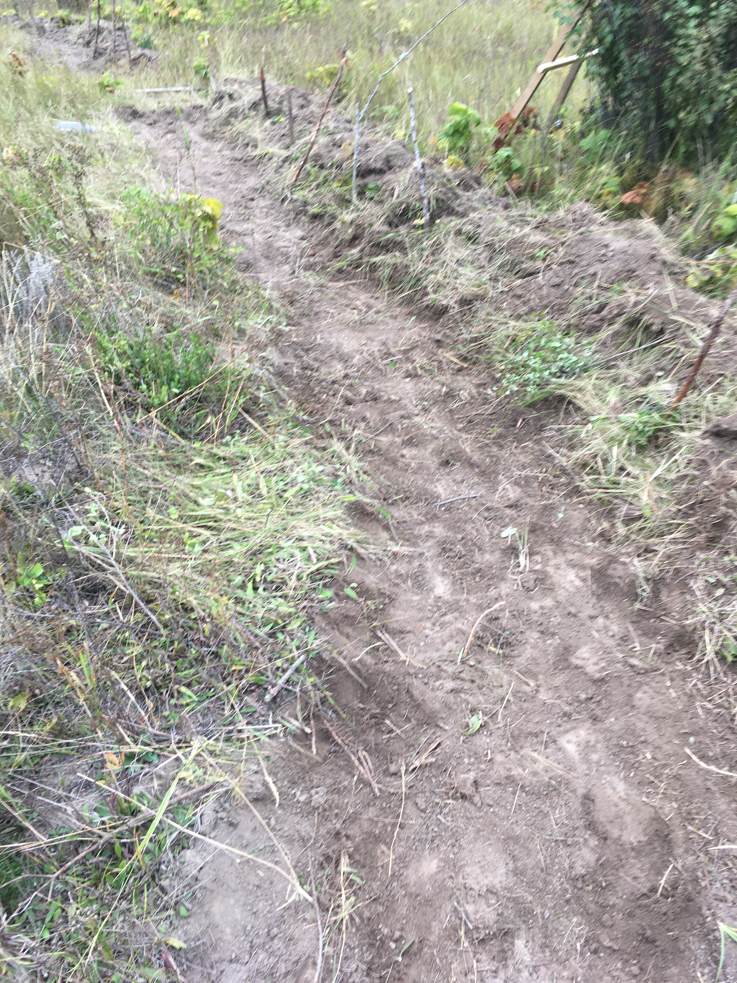 Digging a permaculture swale